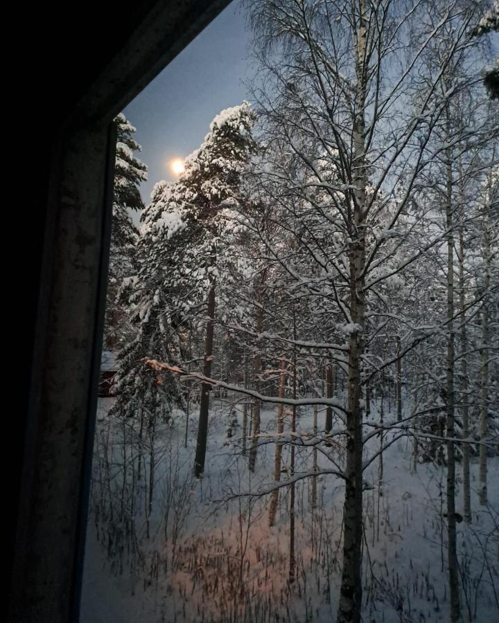 רובניימי Room In Polar Circle מראה חיצוני תמונה